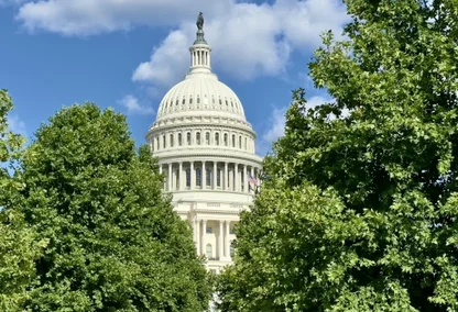 white house surrounded by trees